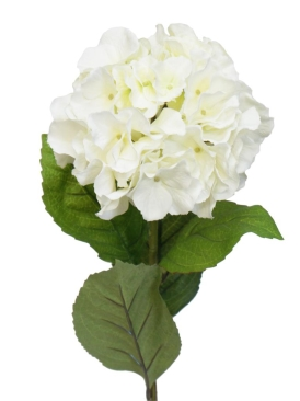 63CM LG HEAD HYDRANGEA X1 CREAM
