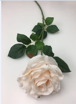 86CMH ROSE - CREAM